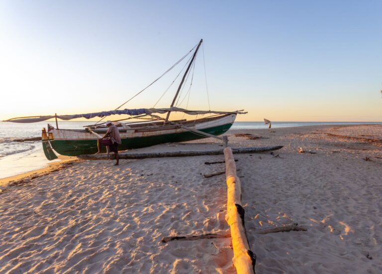 Vista panorâmica da costa de Inhambane com coqueiros e o mar azul índico em Moçambique