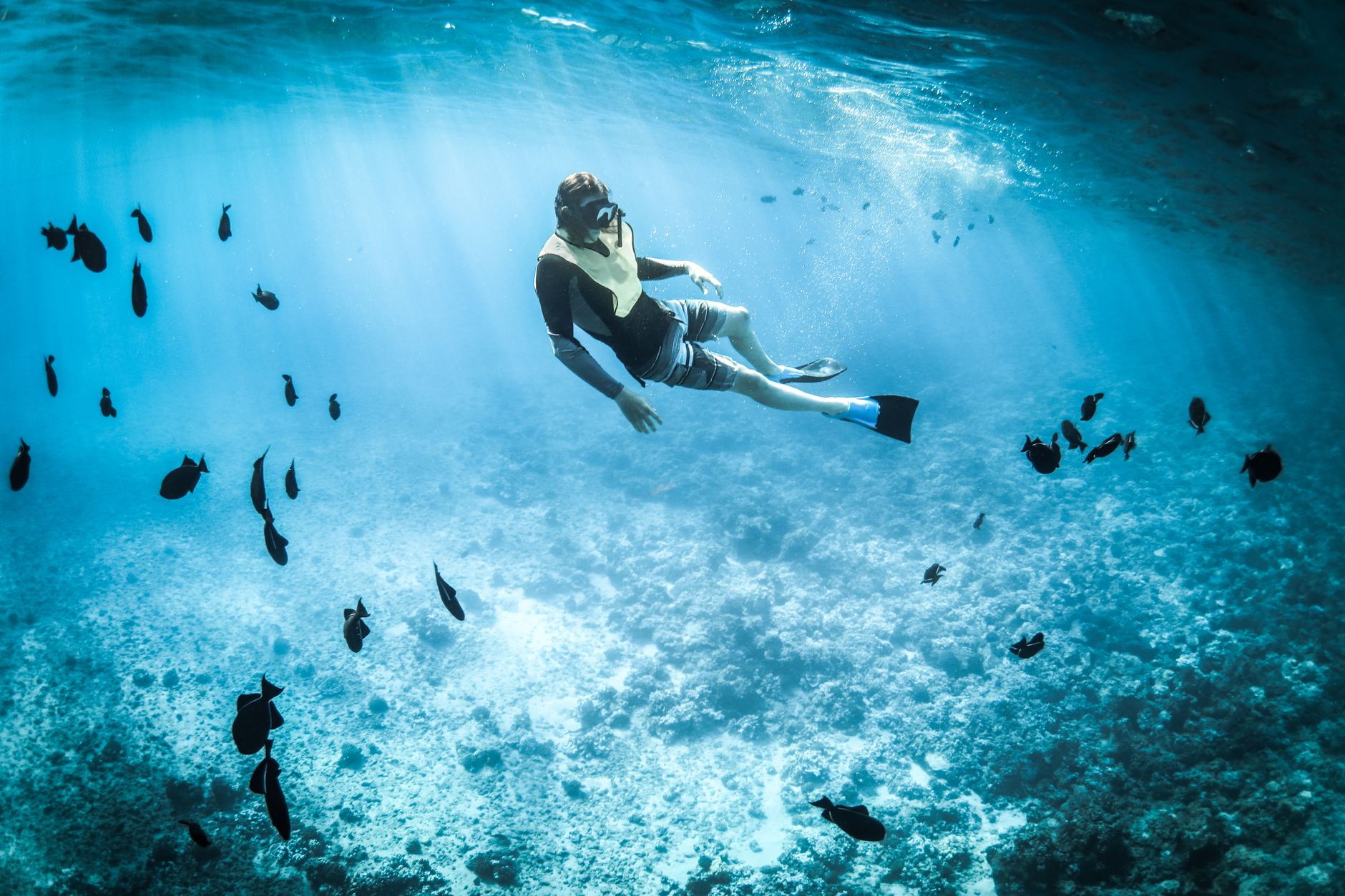 Mergulhador explorando recifes de coral cristalinos na costa de Moçambique com peixes tropicais