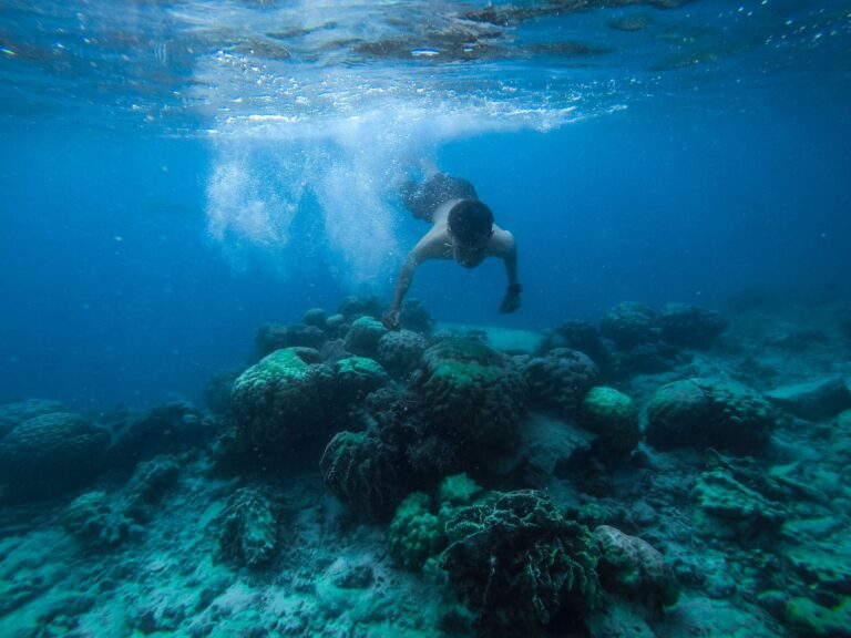 Águas cristalinas e recifes de coral no Arquipélago das Quirimbas em Moçambique