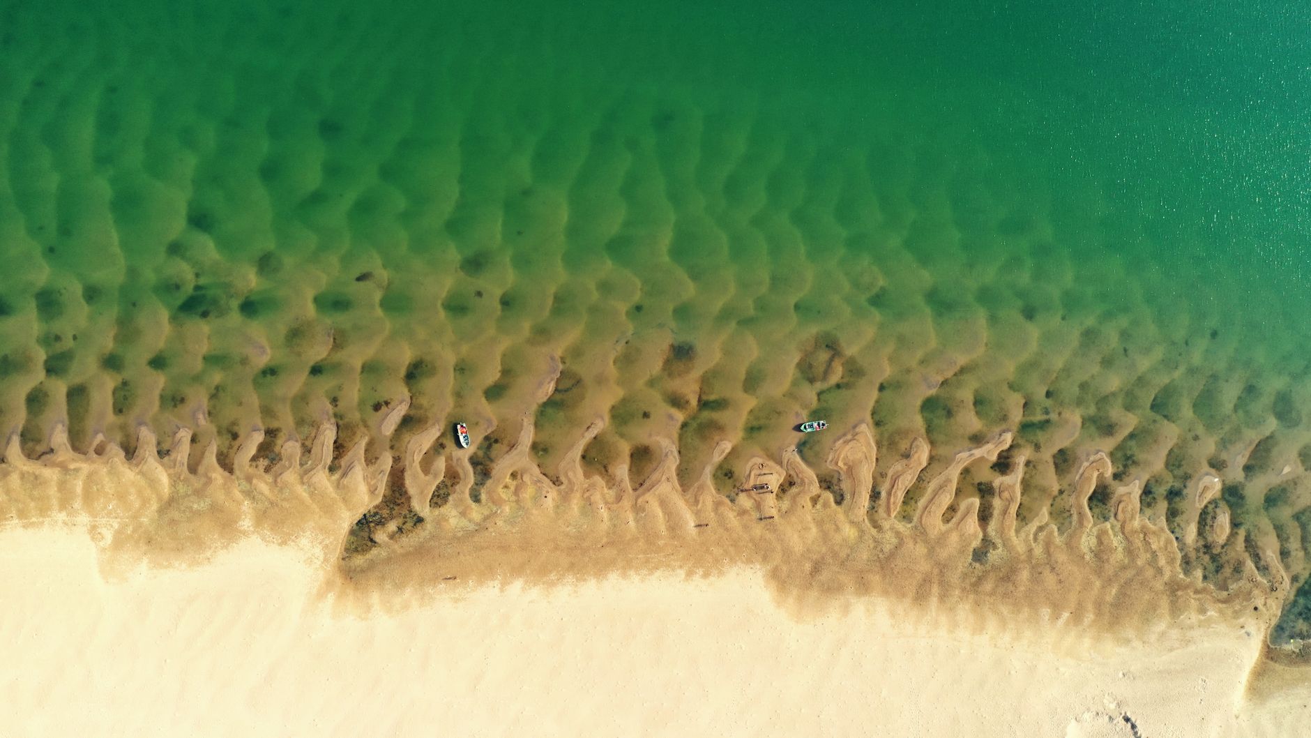 Paisagem costeira paradisica com aguas cristalinas e dunas em Mocambique