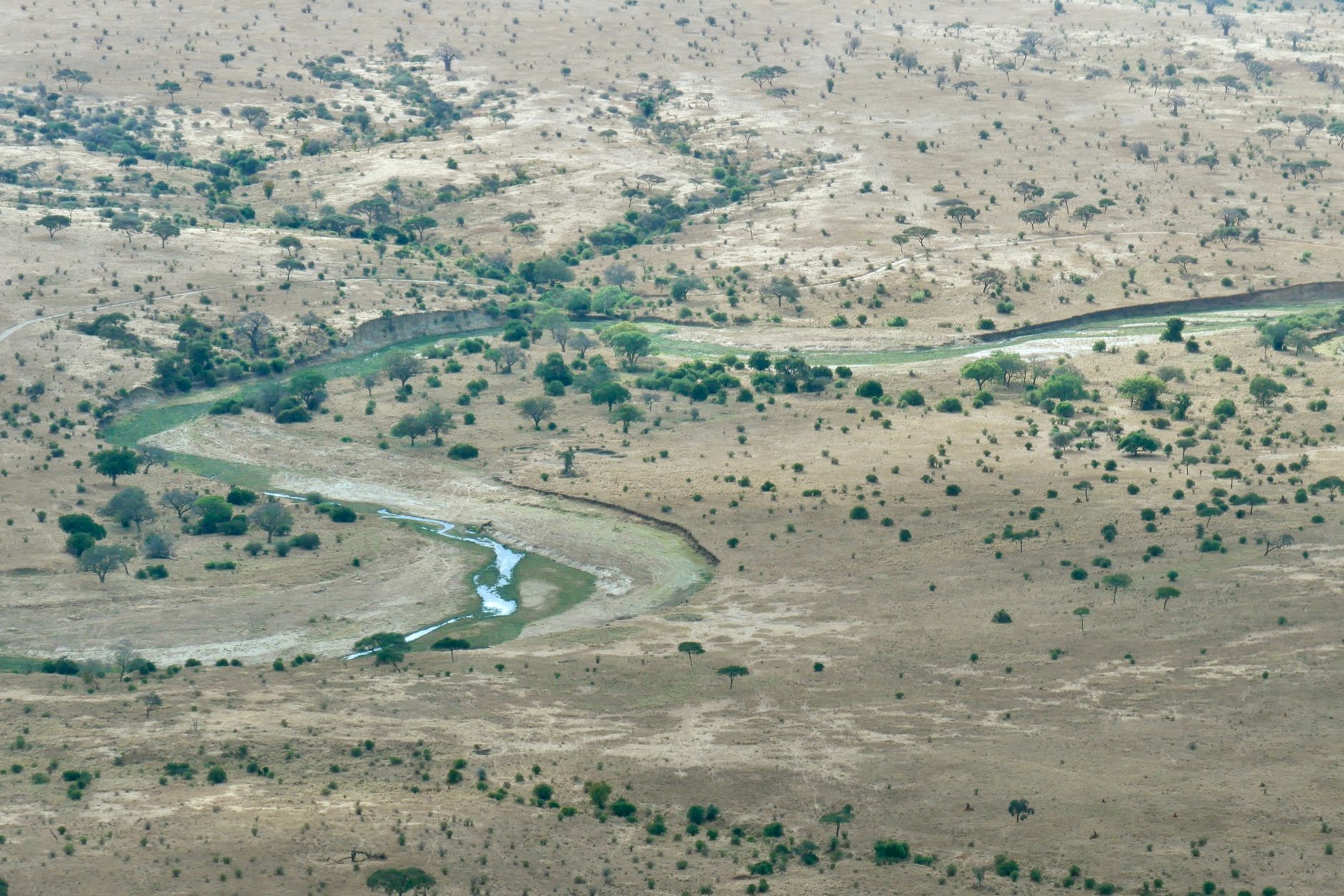Paisagem natural deslumbrante com vegetação autóctone e horizonte em Moçambique