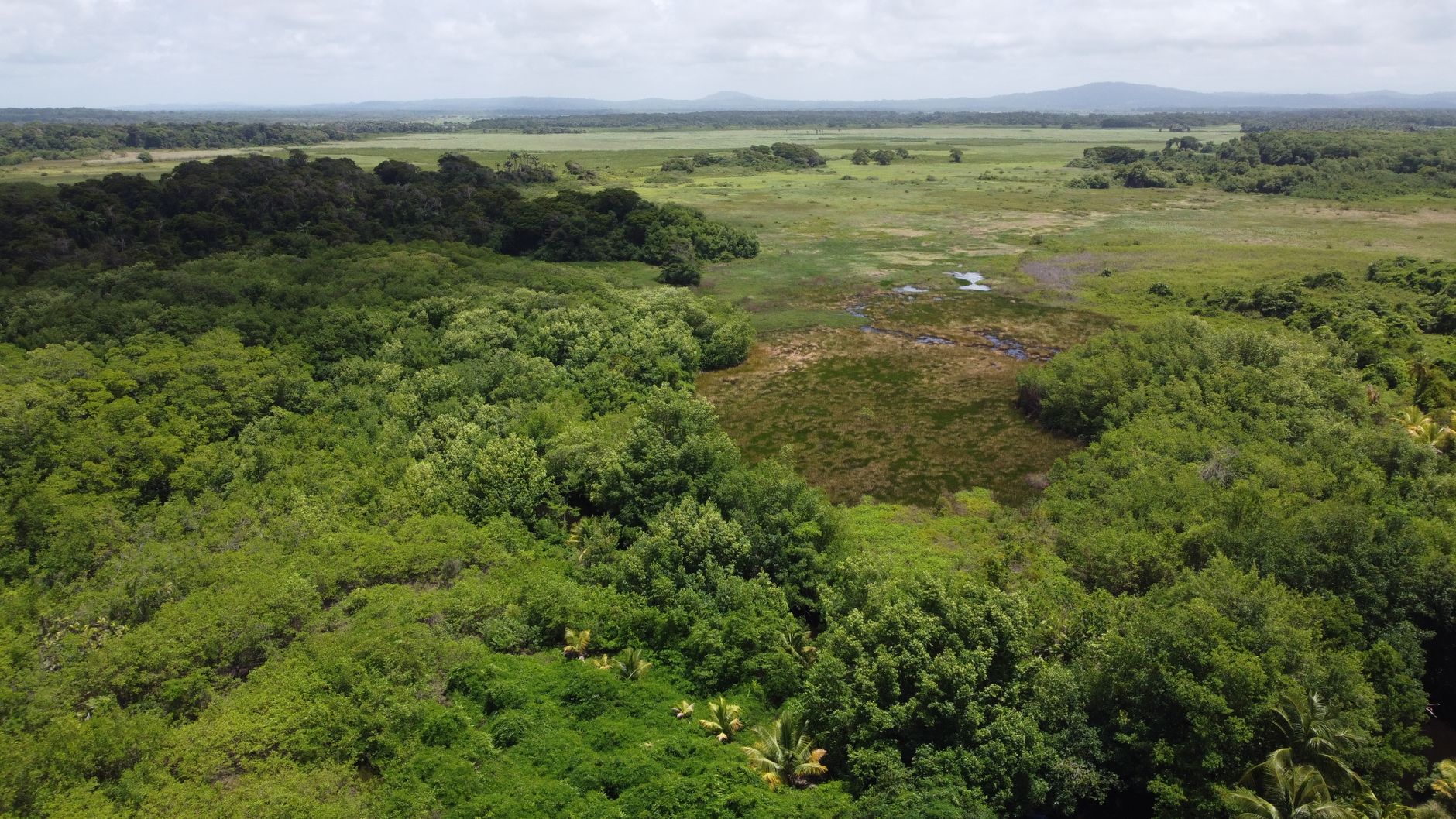 Paisagem da Reserva Especial de Maputo em Mocambique
