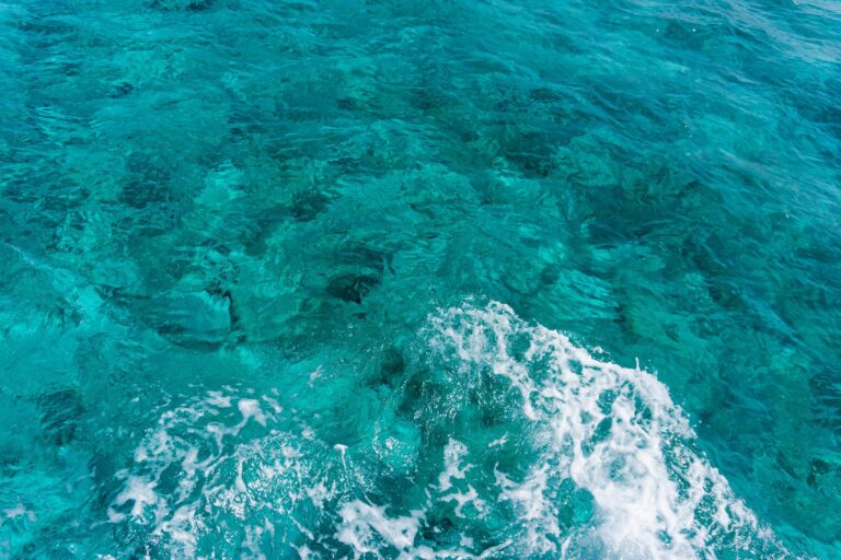 Mergulhador em águas cristalinas num projeto de conservação marinha em Moçambique