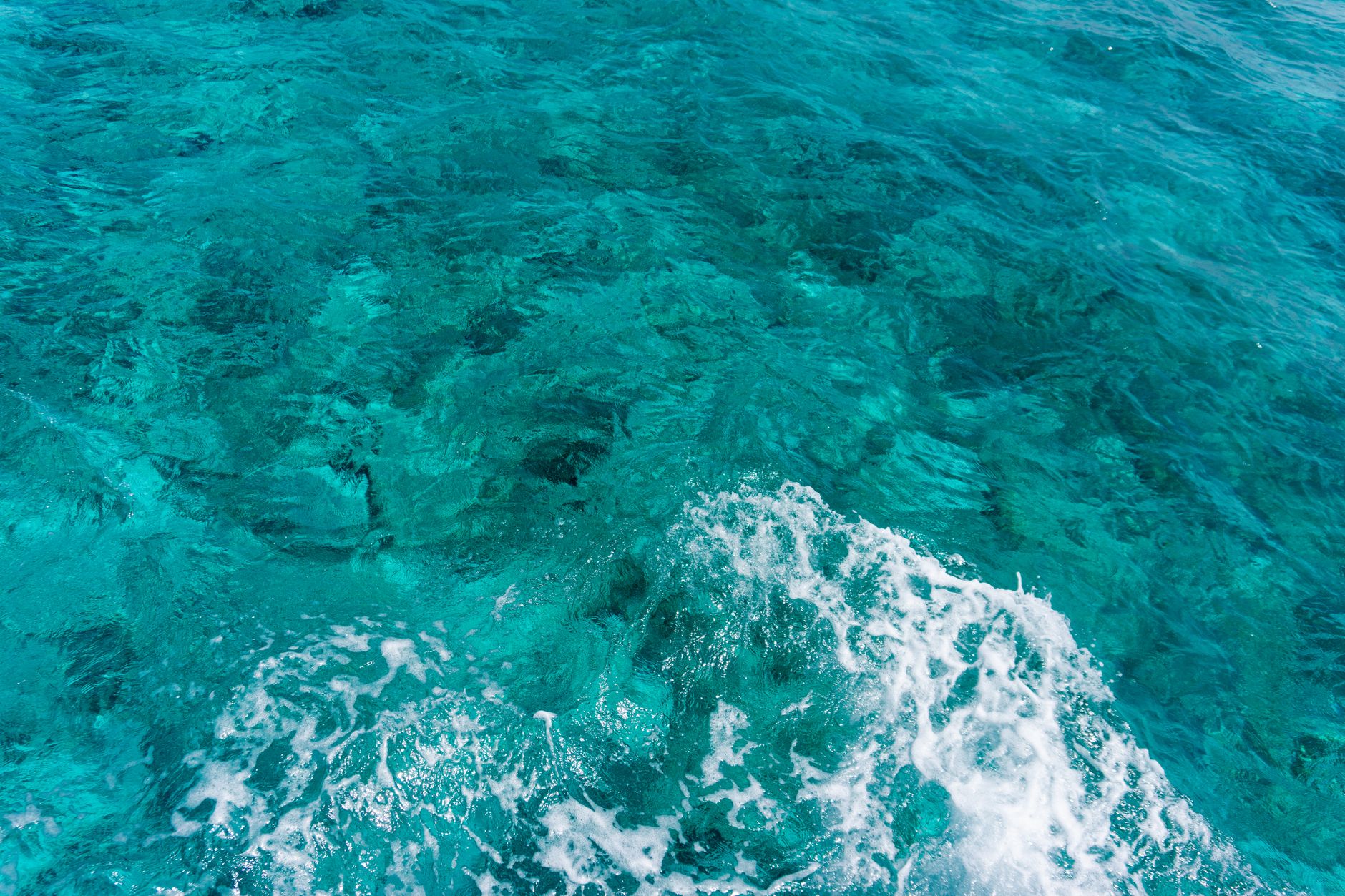 Mergulhador em águas cristalinas num projeto de conservação marinha em Moçambique