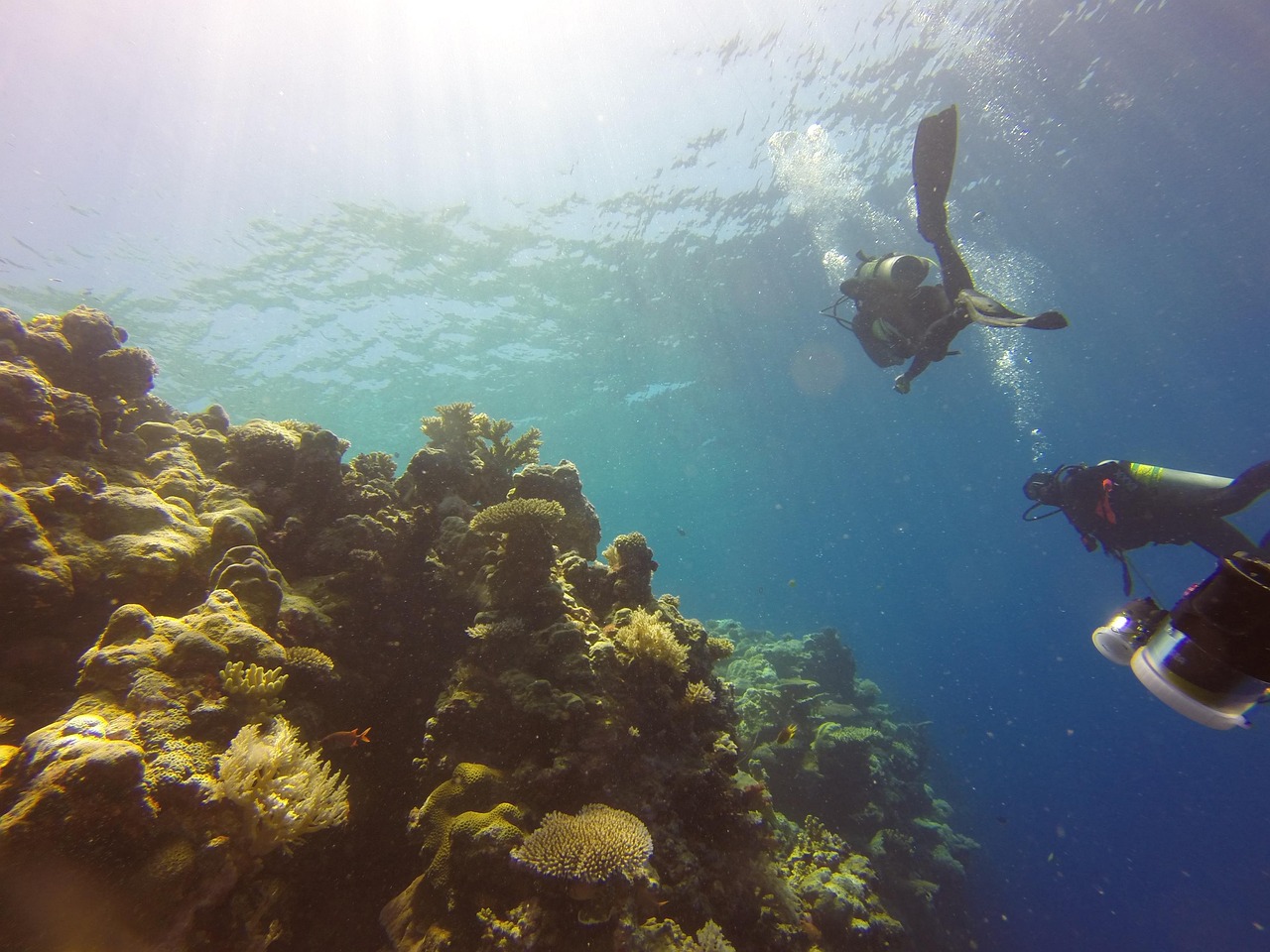 Mergulhador a explorar os recifes de coral na costa de Mocambique