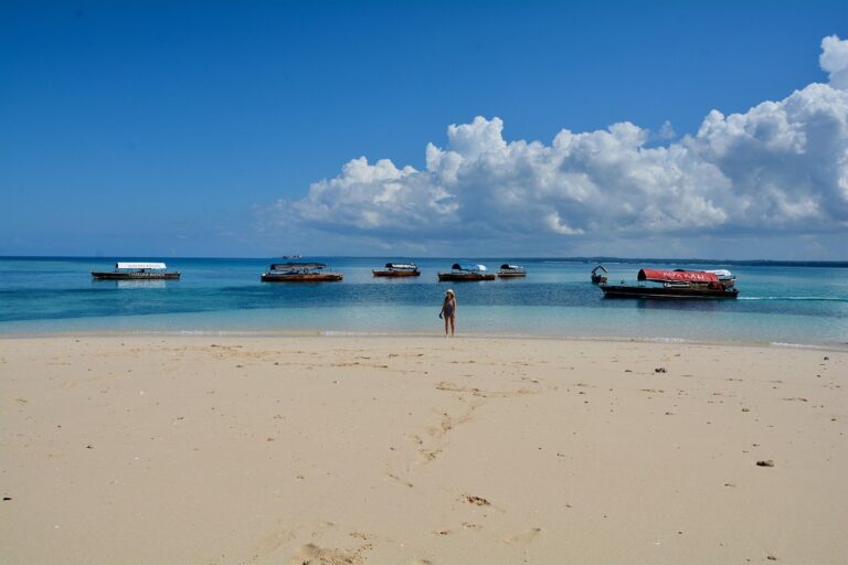 Vista panorâmica da extensas areias douradas e ondas azul-turquesa da Praia de Ponta do Ouro em Moçambique
