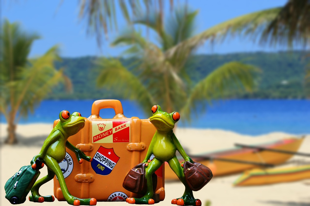 Turista a organizar a mala de viagem para explorar as praias e parques de Moçambique