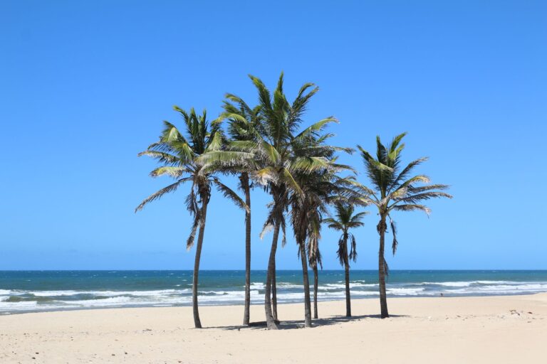 Vista panoramica da praia de Xai-Xai e do Oceano Indico em Mocambique