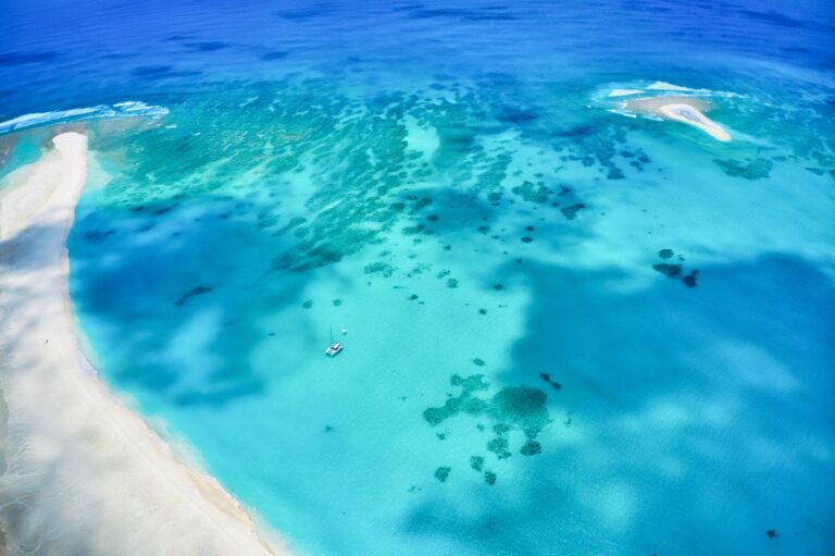 Mergulhador a explorar os recifes de coral na costa de Mocambique