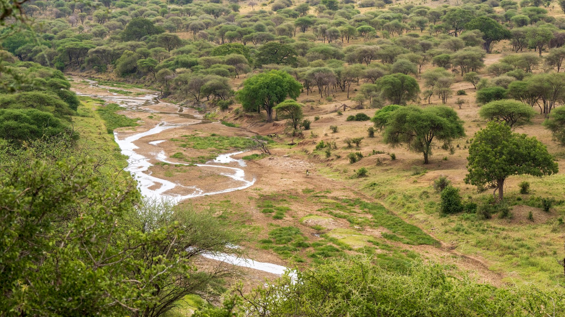 Paisagem natural deslumbrante com vegetacao tipica e horizonte em Mocambique