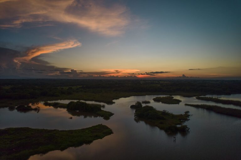 Paisagem natural do Parque Nacional da Gorongosa em Moçambique com a savana ao fundo