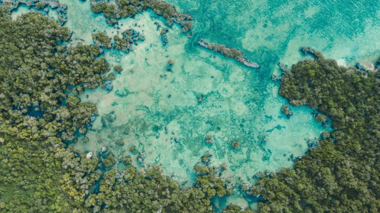 Paisagem tropical das Ilhas Quirimbas com aguas cristalinas em Mocambique