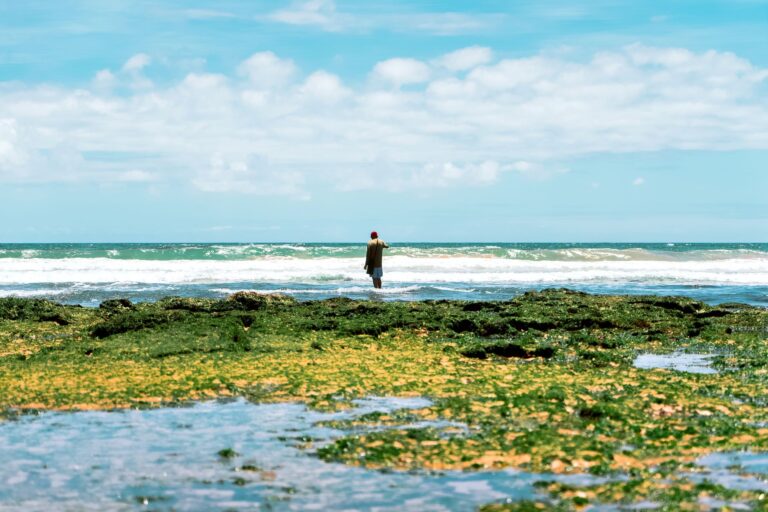 Vista panoramica da deslumbrante Praia de Tofo com o mar azul turquesa em Inhambane Mocambique
