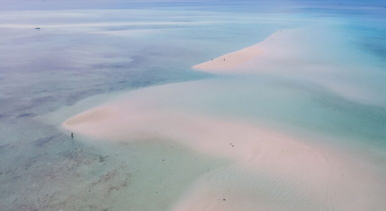 Paisagem costeira paradisíaca em Moçambique com mar azul turquesa e coqueiros