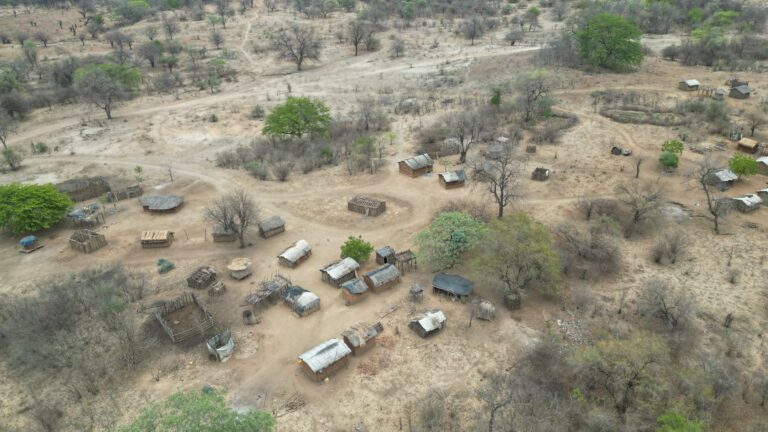 Vista panorâmica da planície e vida selvagem no Parque Nacional da Gorongosa em Moçambique