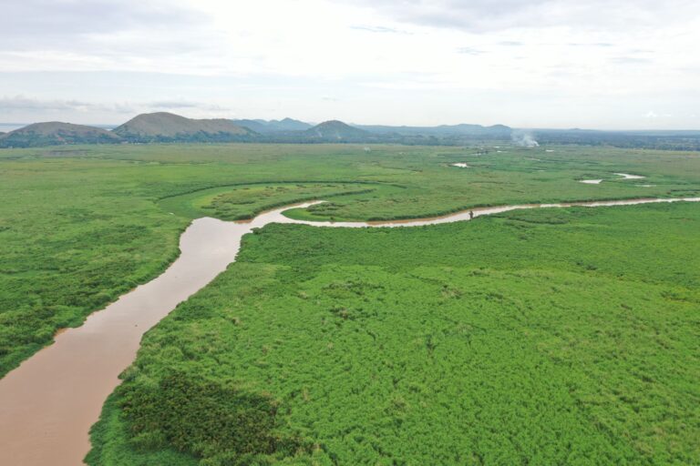 Vista panorâmica da planície e savana no Parque Nacional da Gorongosa em Moçambique