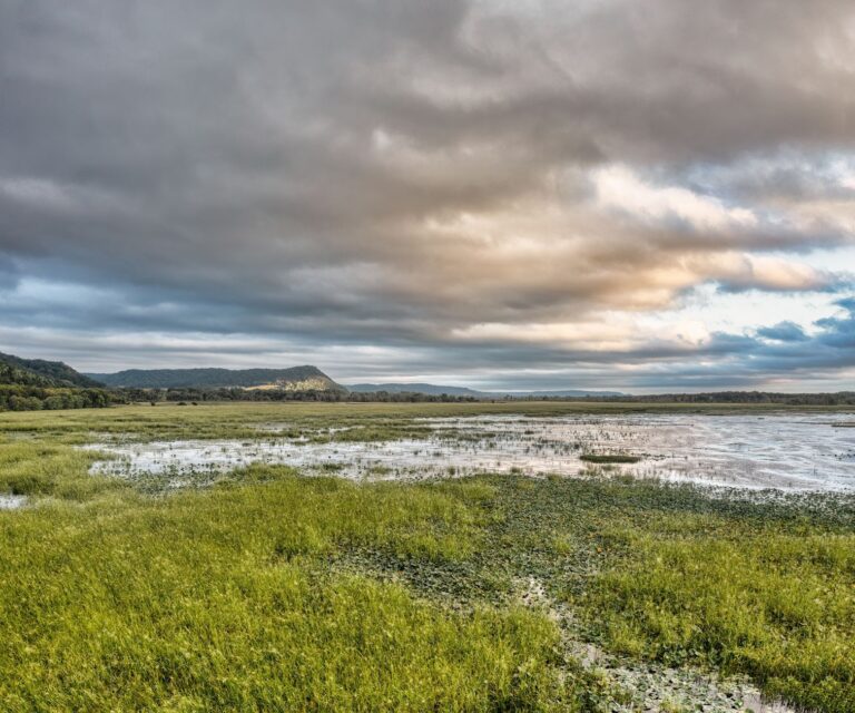 Paisagem deslumbrante do Parque Nacional da Gorongosa em Mocambique