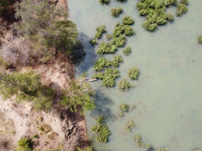 Paisagem natural do Parque Nacional da Gorongosa em Moçambique com rica biodiversidade