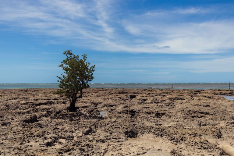 Pousada histórica na Ilha de Moçambique com arquitetura colonial e vista para o mar