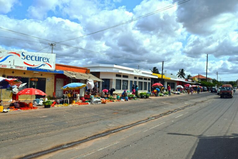 Elefantes na Reserva Especial de Maputo em Mocambique