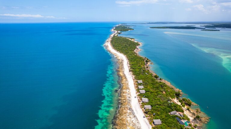 Elefantes na Reserva Especial de Maputo em Mocambique