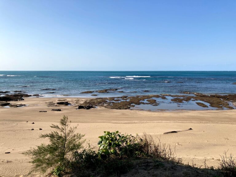 Paisagem costeira de Mocambique com aguas cristalinas e coqueiros